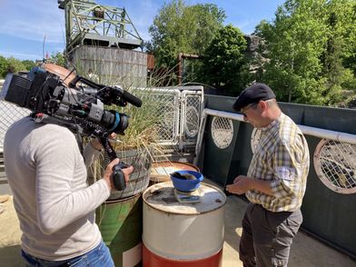 Tierpfleger Benendikt Knueppe wiegt den Pinguinnachwuchs Erlebnis-Zoo Hannove