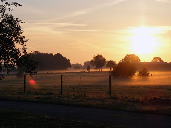 Sonnenaufgang über Wiesen und Wäldern.
