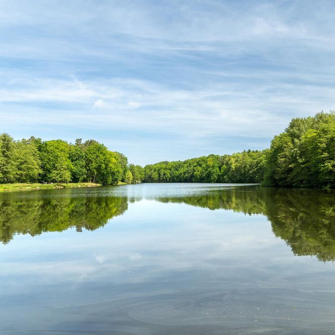 „Blick über den stillen Lopausee, der von dichten grünen Wäldern umgeben ist. Der Himmel spiegelt sich klar auf der glatten Wasseroberfläche.“