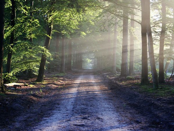 redaktionell gepflegter Text für alternativer Text