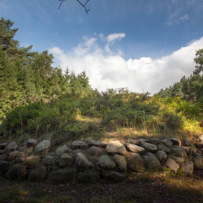„Grüner, mit Gras und Heide bewachsener Hügel, umgeben von einer Umfassung aus großen Feldsteinen, im Waldgebiet bei Amelinghausen.“