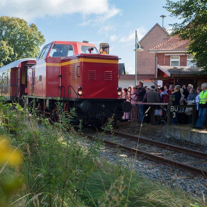„Eine rote Diesellok des Bispinger Heide-Express hält am kleinen Bahnhof von Bispingen. Viele Menschen stehen am Bahnsteig, teils in historischen Kleidern.“