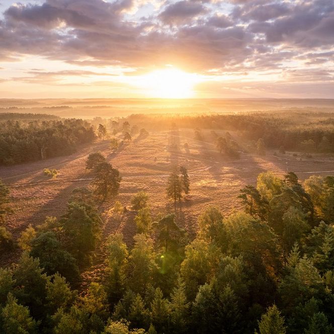 „Luftaufnahme einer weitläufigen Heidelandschaft im goldenen Licht des Sonnenaufgangs. Die Sonne steht tief über dem Horizont, lange Schatten ziehen sich über das Gelände.“