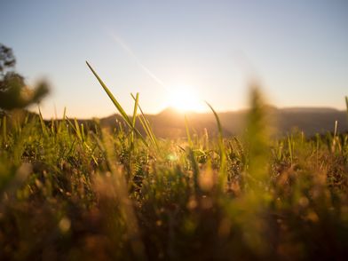 Redaktionell gepflegter Titel Redaktionell gepflegter alternativer Text (Barrierefreiheit)