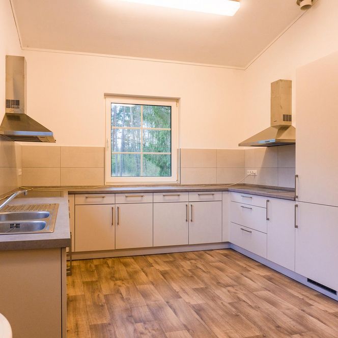 Helle, moderne Küche mit Einbauschränken, zwei Dunstabzugshauben und großem Fenster mit Waldblick.