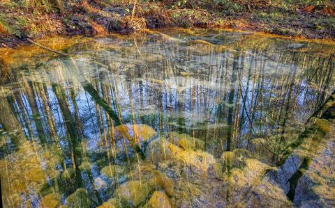 Die Schwindequelle im vollem farbenspecktrum 