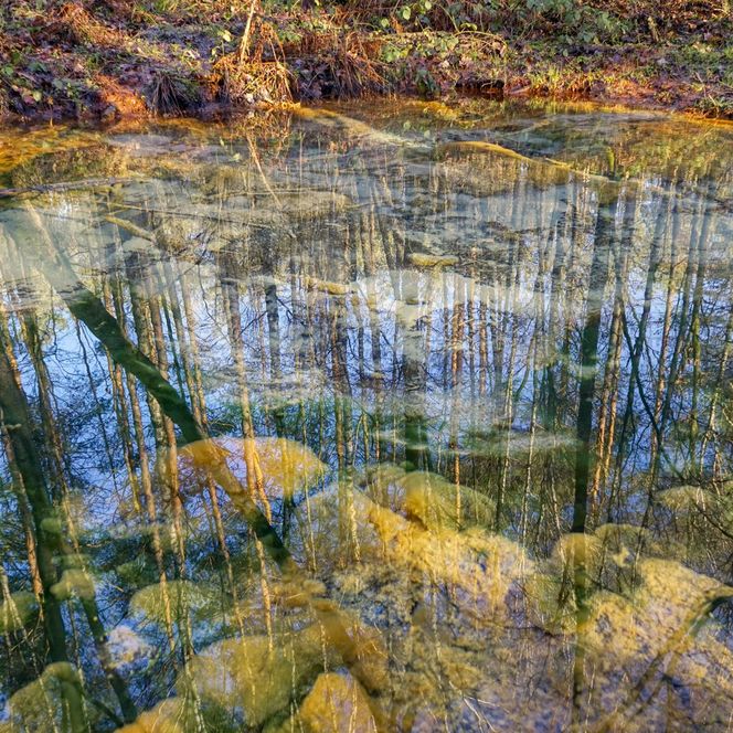 Die Schwindequelle im vollem farbenspecktrum 