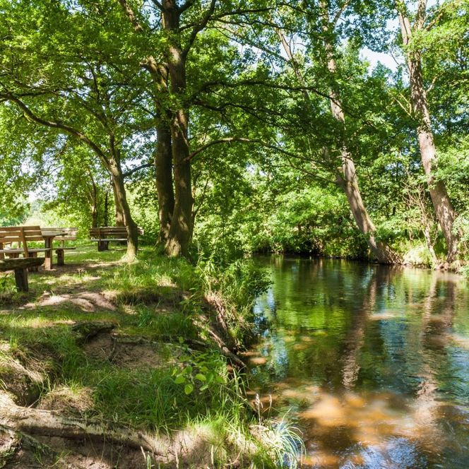 Teilaufnahme der Luhe